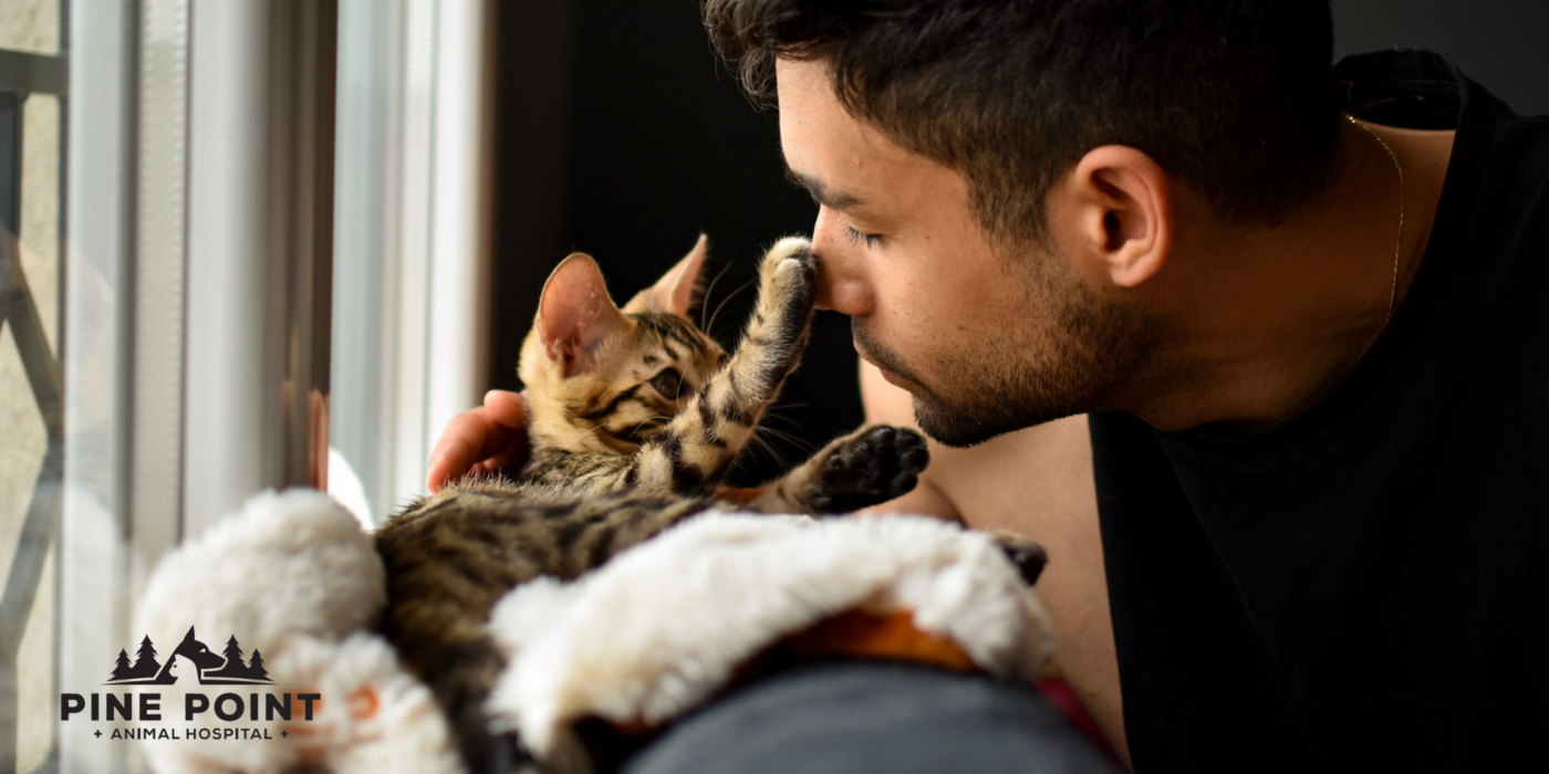 a young man discusses the importance of cat neuter with his small, tabby striped kitten