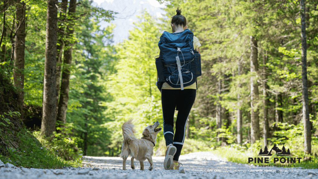 dog enjoying a hike after flea and tick prevention
