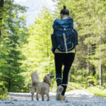 dog enjoying a hike after flea and tick prevention