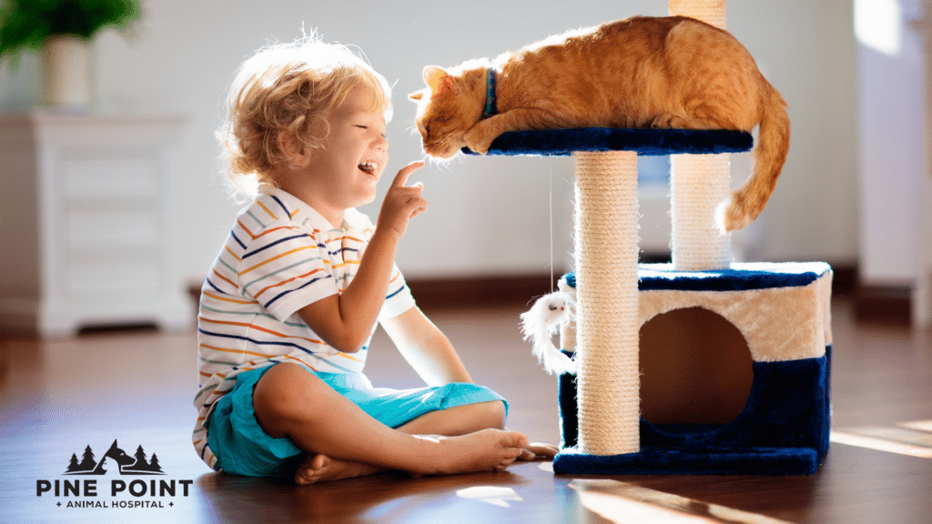 toddler and orange cat play; bring home new pet