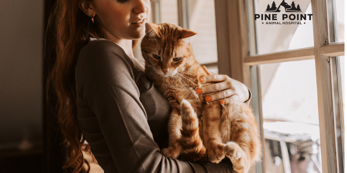 woman holding senior cat; chronic kidney disease in cats