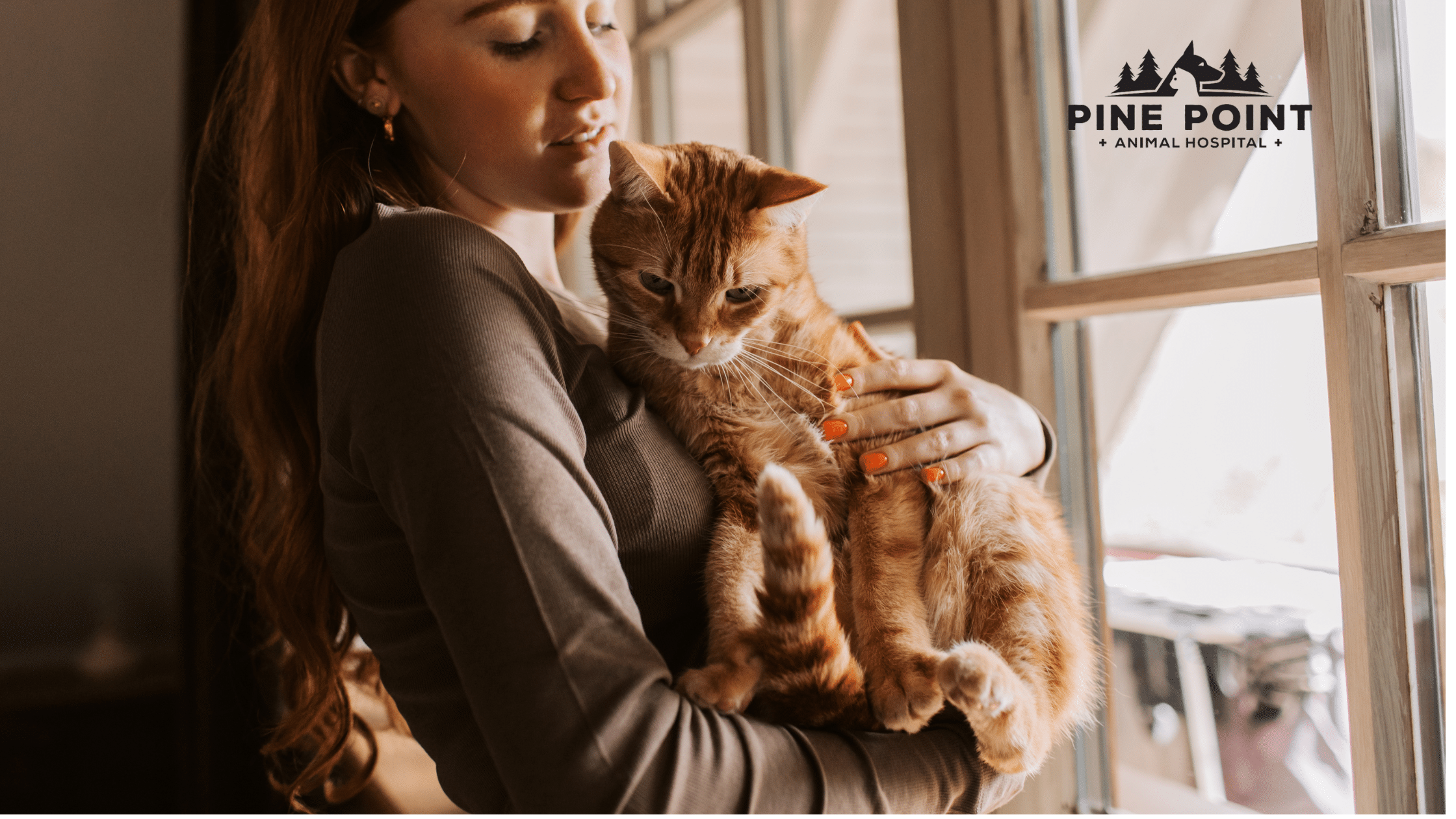 woman holding senior cat; chronic kidney disease in cats