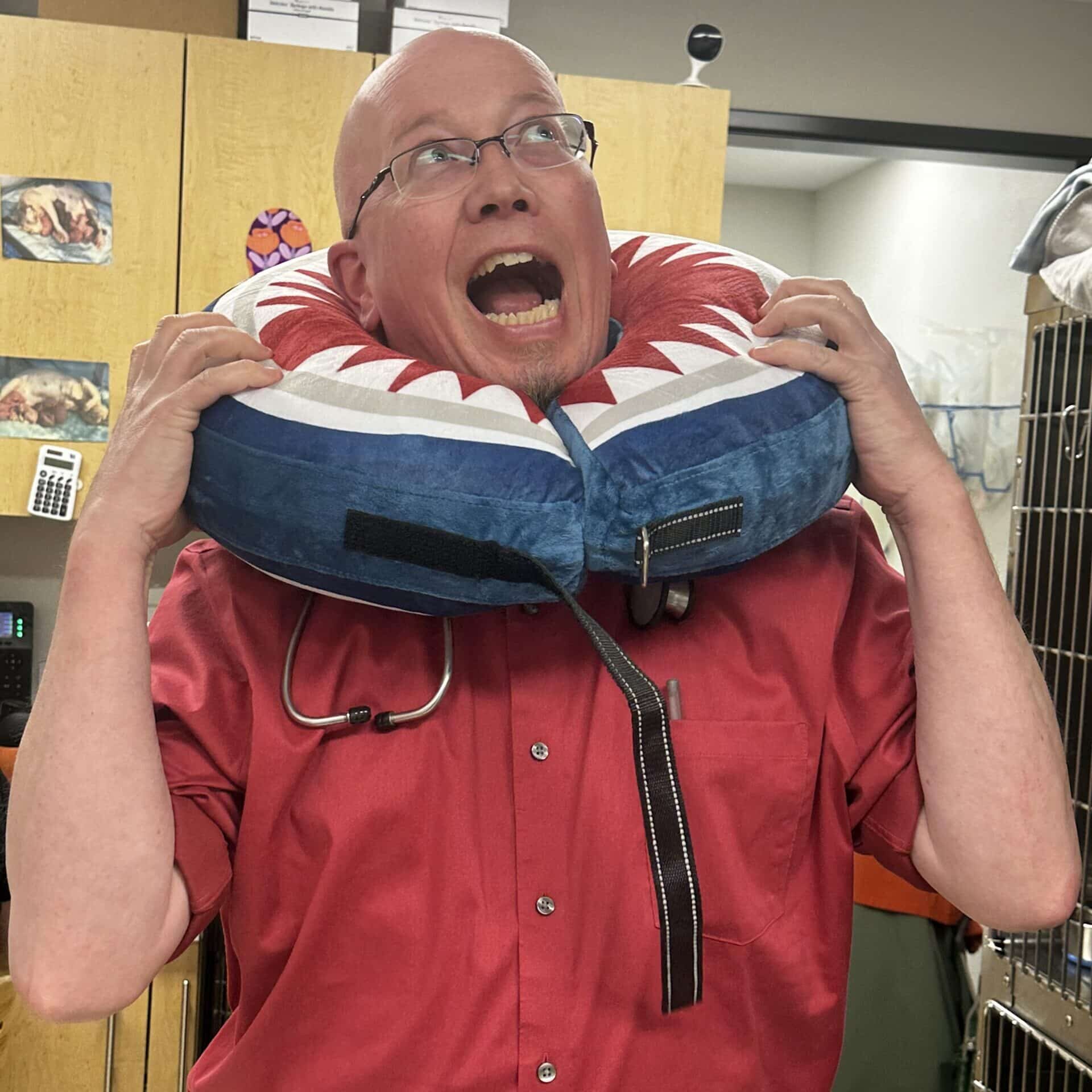 dr. mark johnson dvm